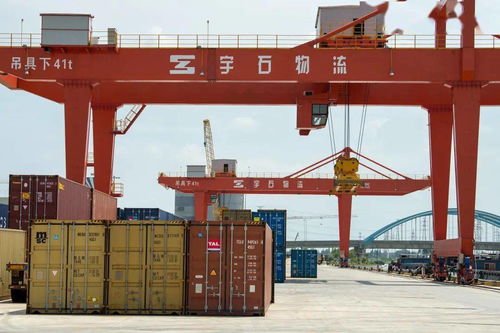 桐乡三企领跑全省服务业，国内贸易代理服务数量居嘉兴之首