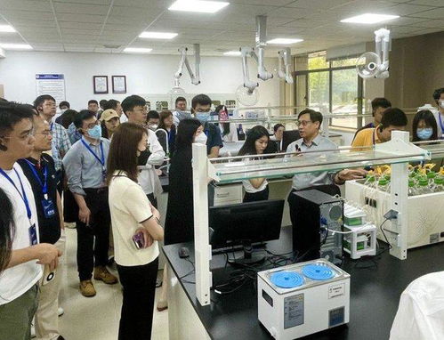 40余家机构调研恒辉安防，国内外双循环布局与新材料投产助推业绩增长